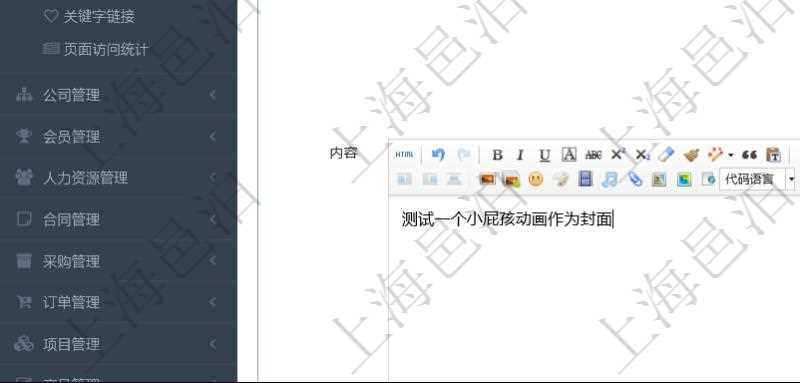 項目管理軟件可以通過在內容管理修改發(fā)布頁面來更新項目管理系統(tǒng)門戶網(wǎng)站信息。除了可以編輯修改常規(guī)信息外，比如：標題、頁面標題、關鍵字名稱、封面圖片、跳轉鏈接、摘要、頁面類型，還可以通過HTML富文本編輯器編輯修改多媒體格式內容，除了可以包括圖表還可以插入圖片、視頻及音頻。