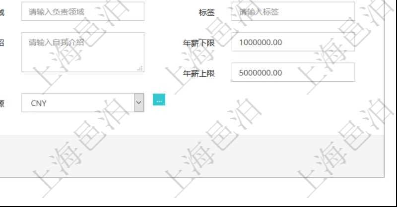 項(xiàng)目管理軟件人力資源管理可以修改維護(hù)團(tuán)隊(duì)信息，比如：上級(jí)團(tuán)隊(duì)、序號(hào)、名稱、代碼、描述、財(cái)務(wù)人、登錄賬戶、組長(zhǎng)、單位、部門(mén)、直接主管、在職狀態(tài)、負(fù)責(zé)領(lǐng)域、標(biāo)簽、崗位職責(zé)、自我介紹、年薪下限、年薪上限、年成本、貨幣單位資源等。