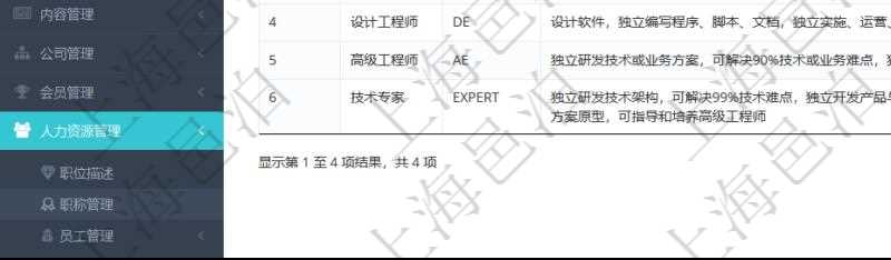 項(xiàng)目管理軟件人力資源管理職稱管理查詢列表可以查詢維護(hù)職稱配置信息，比如包括：ID、名稱、代碼、描述與分類等。