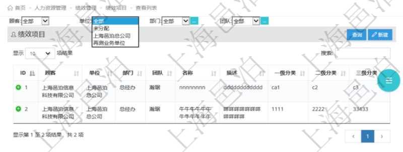 在項(xiàng)目管理軟件中，人力資源績效最多可分為3級分類管理，通過績效項(xiàng)目查詢頁面，用戶可以查到具體績效項(xiàng)目明細(xì)，比如：單位、部門、團(tuán)隊(duì)、名稱、描述、一級分類、二級分類、三級分類等。