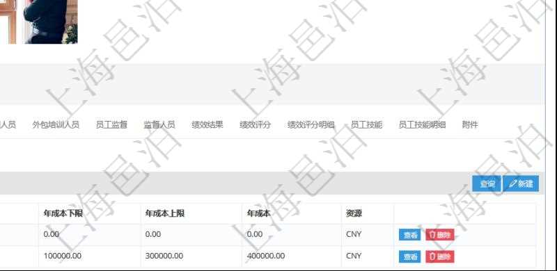 項目管理軟件人力資源管理模塊員工基本信息資料明細查詢還可以關聯(lián)查詢更多相關資料，比如團隊成員子頁面可以返回員工在不同團隊的信息，比如：團隊名稱、團隊序號、人員序號、職責、年成本下限、年成本上限、年成本、貨幣單位資源等。