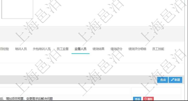 項(xiàng)目管理軟件人力資源管理模塊員工基本信息資料明細(xì)查詢還可以關(guān)聯(lián)查詢更多相關(guān)資料，比如負(fù)責(zé)過的監(jiān)督項(xiàng)目：監(jiān)督、項(xiàng)次、總結(jié)。