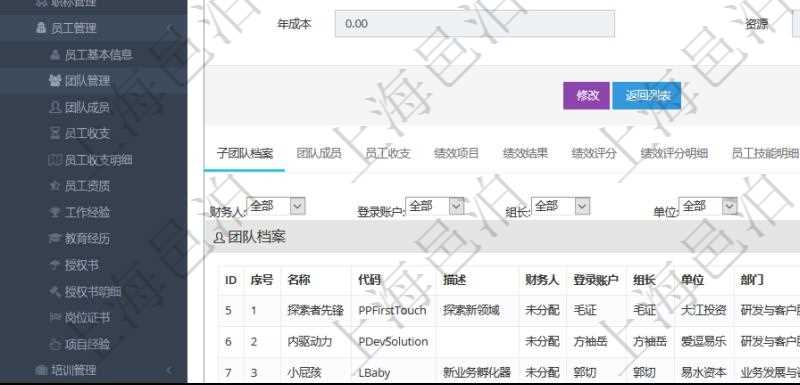 項目管理軟件人力資源管理系統(tǒng)可以通過團隊明細子頁面查詢得到該團隊的子團隊信息，比如：子團隊名稱、子團隊代碼、子團隊描述、財務人、登錄賬戶、組長、單位、部門、直接主管、在職狀態(tài)、負責領域、標簽、崗位職責、自我介紹、年薪下限、年薪上限、年成本等。