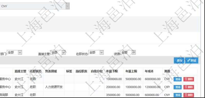 項(xiàng)目管理軟件人力資源管理系統(tǒng)可以通過團(tuán)隊(duì)明細(xì)子頁(yè)面查詢得到該團(tuán)隊(duì)的子團(tuán)隊(duì)信息，比如：子團(tuán)隊(duì)名稱、子團(tuán)隊(duì)代碼、子團(tuán)隊(duì)描述、財(cái)務(wù)人、登錄賬戶、組長(zhǎng)、單位、部門、直接主管、在職狀態(tài)、負(fù)責(zé)領(lǐng)域、標(biāo)簽、崗位職責(zé)、自我介紹、年薪下限、年薪上限、年成本等。
